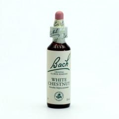 Kaštan bílý (White Chestnut) 20 ml - Bachovy esence